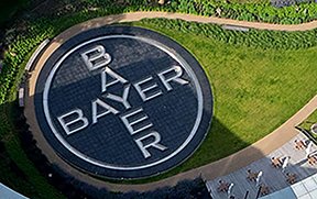 Image: Bayer company grounds